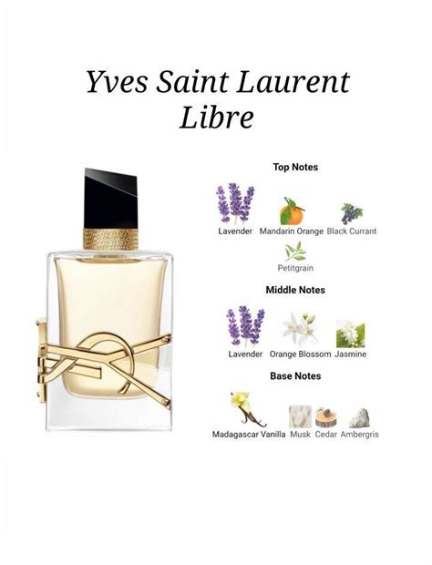 y yves saint laurent notes|ysl y edp notes.